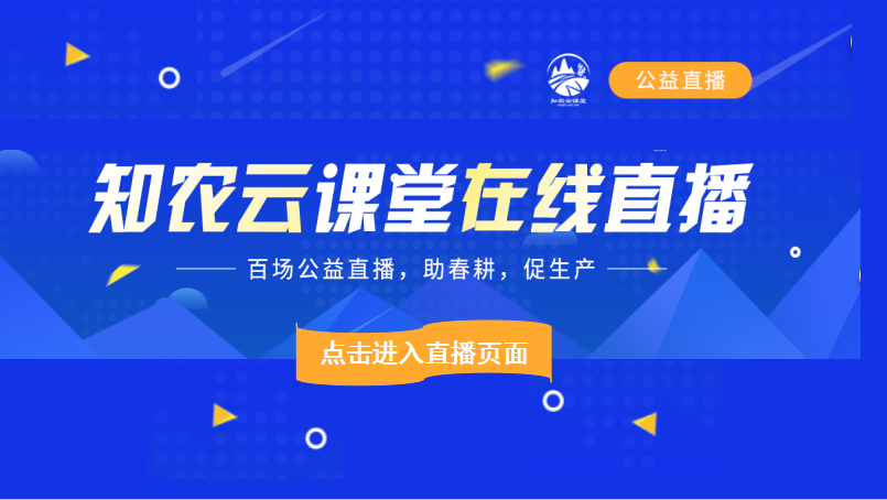 知农云课堂在线直播
